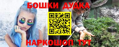 индика Тверь