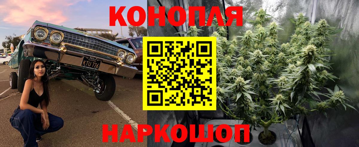 Брянск  МАРИХУАНА семена  Марихуана сатива  Вход с VPN 
